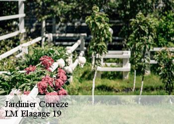 Jardinier 19 Corrèze LM Elagage 19