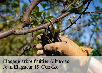 Elagage arbre fruitier  albussac-19380 Jean Elagueur 19 Corrèze