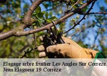 Elagage arbre fruitier  les-angles-sur-correze-19000 Jean Elagueur 19 Corrèze