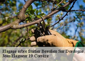 Elagage arbre fruitier  beaulieu-sur-dordogne-19120 Jean Elagueur 19 Corrèze