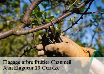 Elagage arbre fruitier  chaumeil-19390 Jean Elagueur 19 Corrèze