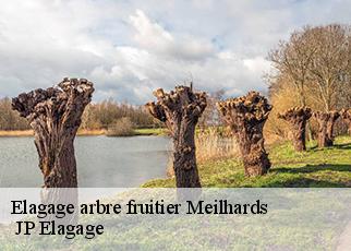 Elagage arbre fruitier  meilhards-19510  JP Elagage