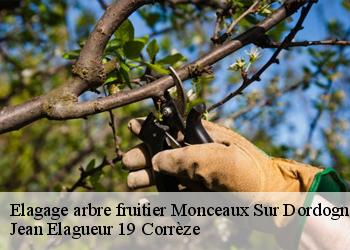 Elagage arbre fruitier  monceaux-sur-dordogne-19400 Jean Elagueur 19 Corrèze