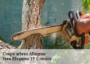 Coupe arbres  albignac-19190 Jean Elagueur 19 Corrèze