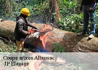 Coupe arbres  albussac-19380  JP Elagage