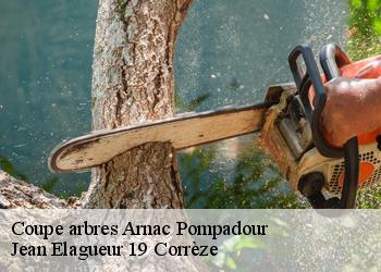 Coupe arbres  arnac-pompadour-19230 Jean Elagueur 19 Corrèze