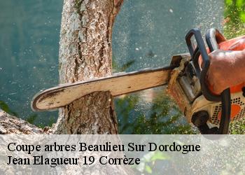 Coupe arbres  beaulieu-sur-dordogne-19120 Jean Elagueur 19 Corrèze