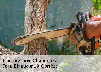 Coupe arbres  chabrignac-19350 Jean Elagueur 19 Corrèze