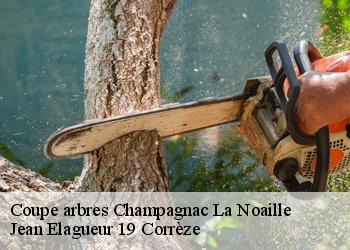 Coupe arbres  champagnac-la-noaille-19320 Jean Elagueur 19 Corrèze