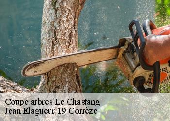 Coupe arbres  le-chastang-19190 Jean Elagueur 19 Corrèze