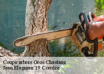 Coupe arbres  gros-chastang-19320 Jean Elagueur 19 Corrèze