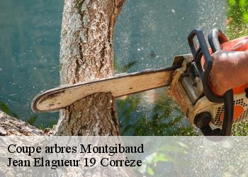 Coupe arbres  montgibaud-19210 Jean Elagueur 19 Corrèze