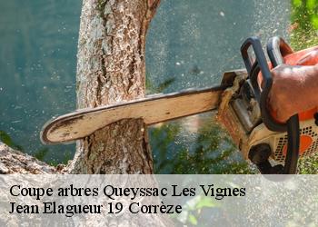 Coupe arbres  queyssac-les-vignes-19120 Jean Elagueur 19 Corrèze