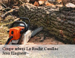 Coupe arbres la-roche-canillac-19320 Jean Elagueur