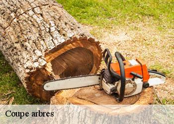 Coupe arbres
