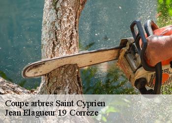 Coupe arbres  saint-cyprien-19130 Jean Elagueur 19 Corrèze