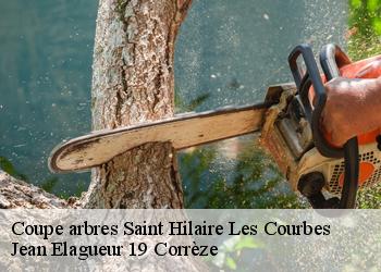 Coupe arbres  saint-hilaire-les-courbes-19170 Jean Elagueur 19 Corrèze