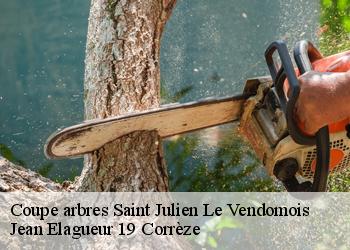 Coupe arbres  saint-julien-le-vendomois-19210 Jean Elagueur 19 Corrèze