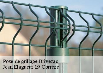 Pose de grillage  brivezac-19120 Jean Elagueur 19 Corrèze