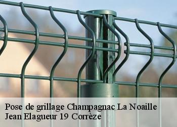 Pose de grillage  champagnac-la-noaille-19320 Jean Elagueur 19 Corrèze