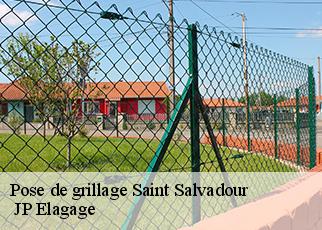 Pose de grillage  saint-salvadour-19700 Jean Elagueur 19 Corrèze