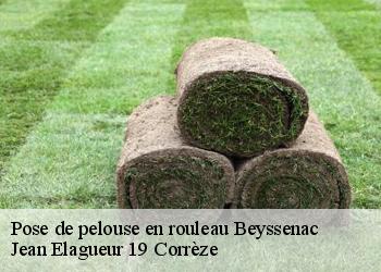 Pose de pelouse en rouleau  beyssenac-19230 Jean Elagueur 19 Corrèze