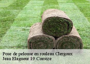 Pose de pelouse en rouleau  clergoux-19320 Jean Elagueur 19 Corrèze