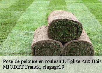 Pose de pelouse en rouleau  l-eglise-aux-bois-19170 MIODET Franck, elagage19