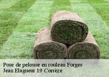 Pose de pelouse en rouleau  forges-19380 Jean Elagueur 19 Corrèze