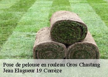 Pose de pelouse en rouleau  gros-chastang-19320 Jean Elagueur 19 Corrèze