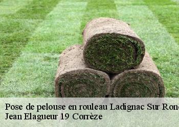 Pose de pelouse en rouleau  ladignac-sur-rondelle-19150 Jean Elagueur 19 Corrèze