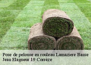 Pose de pelouse en rouleau  lamaziere-basse-19160 Jean Elagueur 19 Corrèze