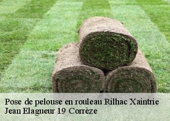 Pose de pelouse en rouleau  rilhac-xaintrie-19220 Jean Elagueur 19 Corrèze