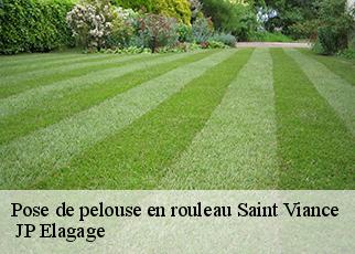 Pose de pelouse en rouleau  saint-viance-19240  JP Elagage