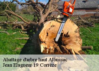 Abattage d'arbre haut  albussac-19380 Jean Elagueur 19 Corrèze