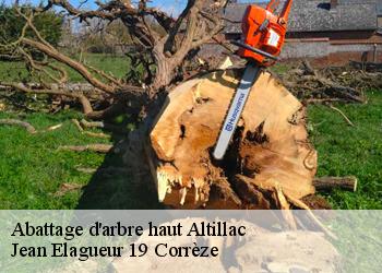 Abattage d'arbre haut  altillac-19120 Jean Elagueur 19 Corrèze