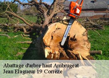 Abattage d'arbre haut  ambrugeat-19250 Jean Elagueur 19 Corrèze