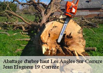 Abattage d'arbre haut  les-angles-sur-correze-19000 Jean Elagueur 19 Corrèze