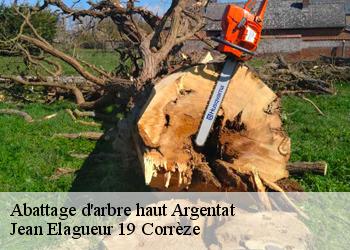 Abattage d'arbre haut  argentat-19400 Jean Elagueur 19 Corrèze