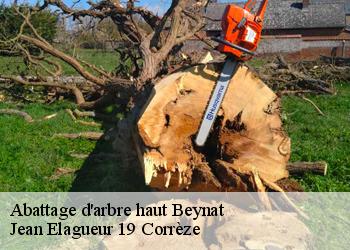 Abattage d'arbre haut  beynat-19190 Jean Elagueur 19 Corrèze