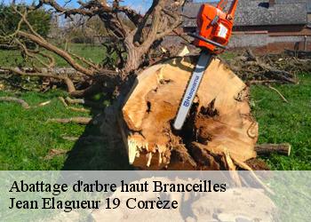 Abattage d'arbre haut  branceilles-19500 Jean Elagueur 19 Corrèze