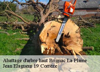 Abattage d'arbre haut  brignac-la-plaine-19310 Jean Elagueur 19 Corrèze