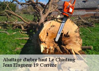 Abattage d'arbre haut  le-chastang-19190 Jean Elagueur 19 Corrèze