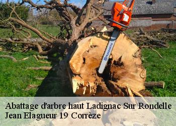 Abattage d'arbre haut  ladignac-sur-rondelle-19150 Jean Elagueur 19 Corrèze