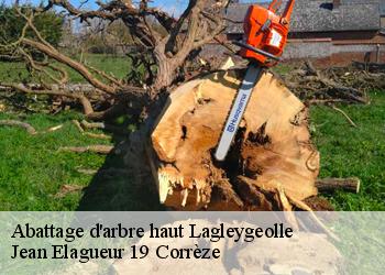 Abattage d'arbre haut  lagleygeolle-19500 Jean Elagueur 19 Corrèze