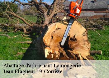 Abattage d'arbre haut  lamongerie-19510 Jean Elagueur 19 Corrèze