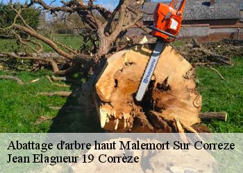 Abattage d'arbre haut  malemort-sur-correze-19360 Jean Elagueur 19 Corrèze