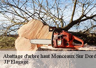 Abattage d'arbre haut  monceaux-sur-dordogne-19400  JP Elagage