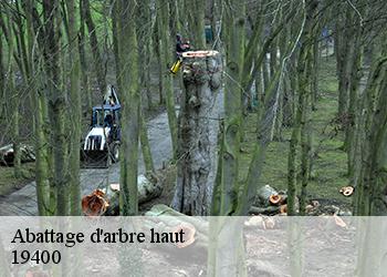 Abattage d'arbre haut  19400