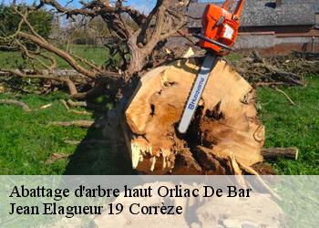 Abattage d'arbre haut  orliac-de-bar-19390 Jean Elagueur 19 Corrèze